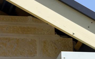 soffit repair Henbrook